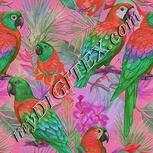 Colour:B