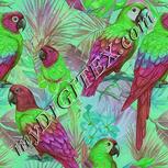 Colour:C