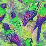 Colour:D