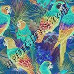 Colour:F
