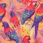Colour:J