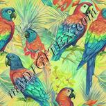 Colour:K
