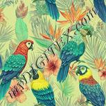 Colour:K