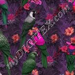Colour:B