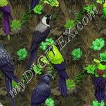 Colour:D