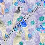 Colour:F