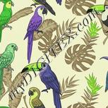Colour:D