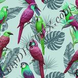 Colour:C