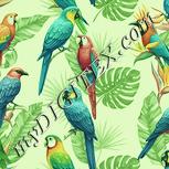 Colour:K