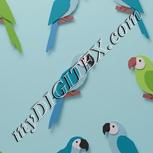 Colour:A