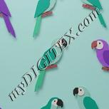 Colour:B
