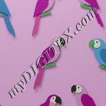 Colour:C