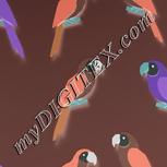Colour:F