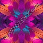 Colour:A