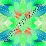 Colour:F