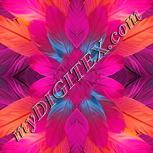 Colour:J