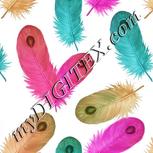 Colour:B