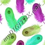 Colour:C