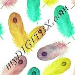 Colour:K