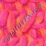 Colour:J