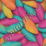 Colour:A