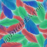 Colour:F