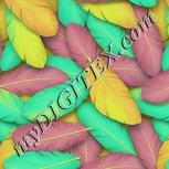 Colour:K