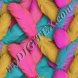 Colour:B