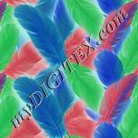 Colour:F