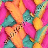 Colour:J