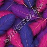 Colour:A