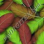 Colour:C
