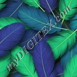 Colour:D