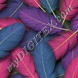 Colour:K