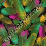 Colour:B