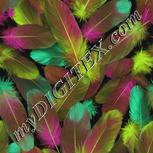 Colour:C
