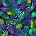 Colour:D