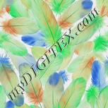 Colour:F