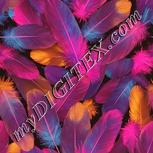 Colour:J