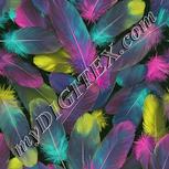 Colour:K