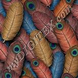 Colour:A