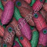 Colour:B