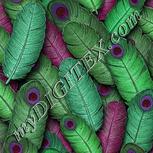 Colour:C