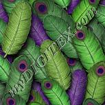 Colour:D