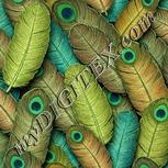 Colour:K