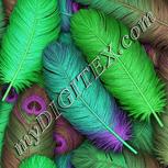 Colour:C