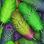 Colour:D