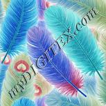 Colour:F