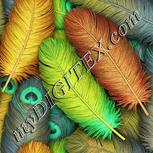 Colour:K
