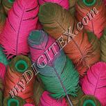 Colour:B